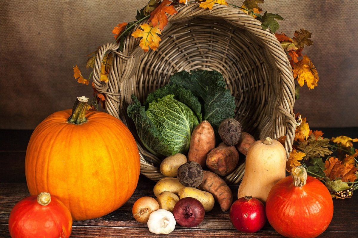 Panier de courses équilibré : nutrition et praticité