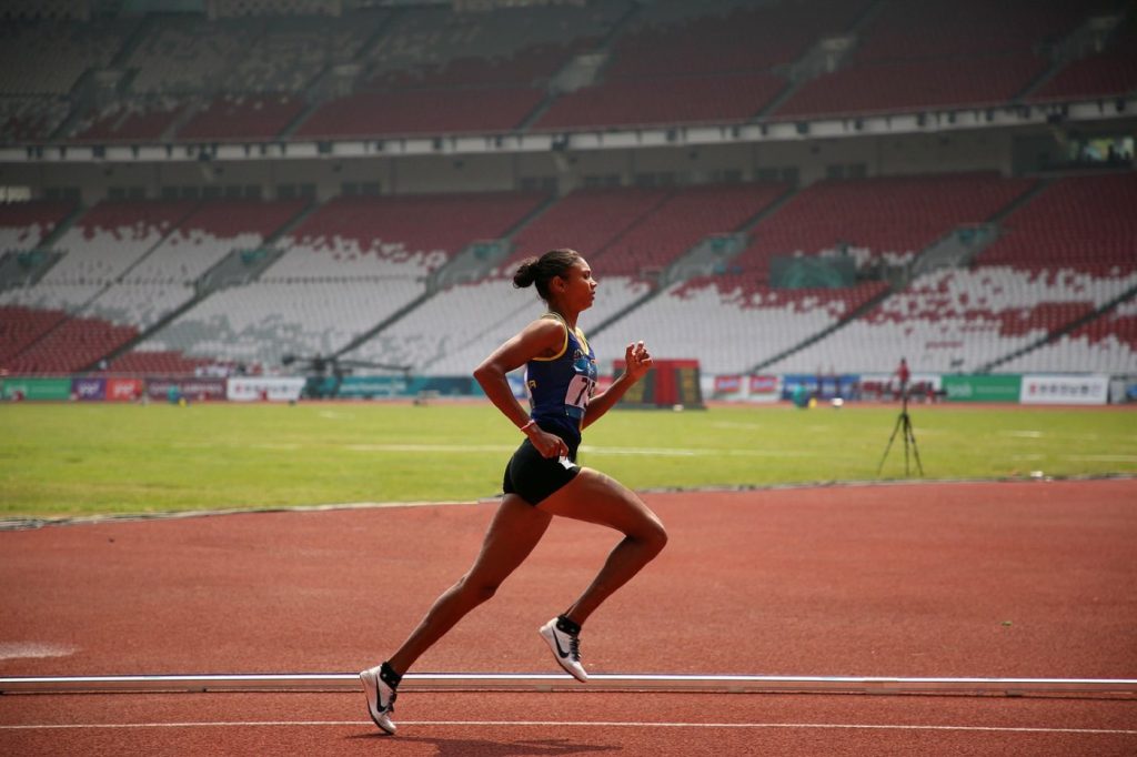 Comparatif programmes endurance pour adulte actif