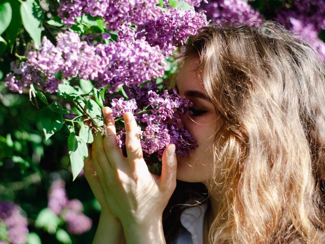 Se préparer aux allergies printanières pour un bien-être optimal
