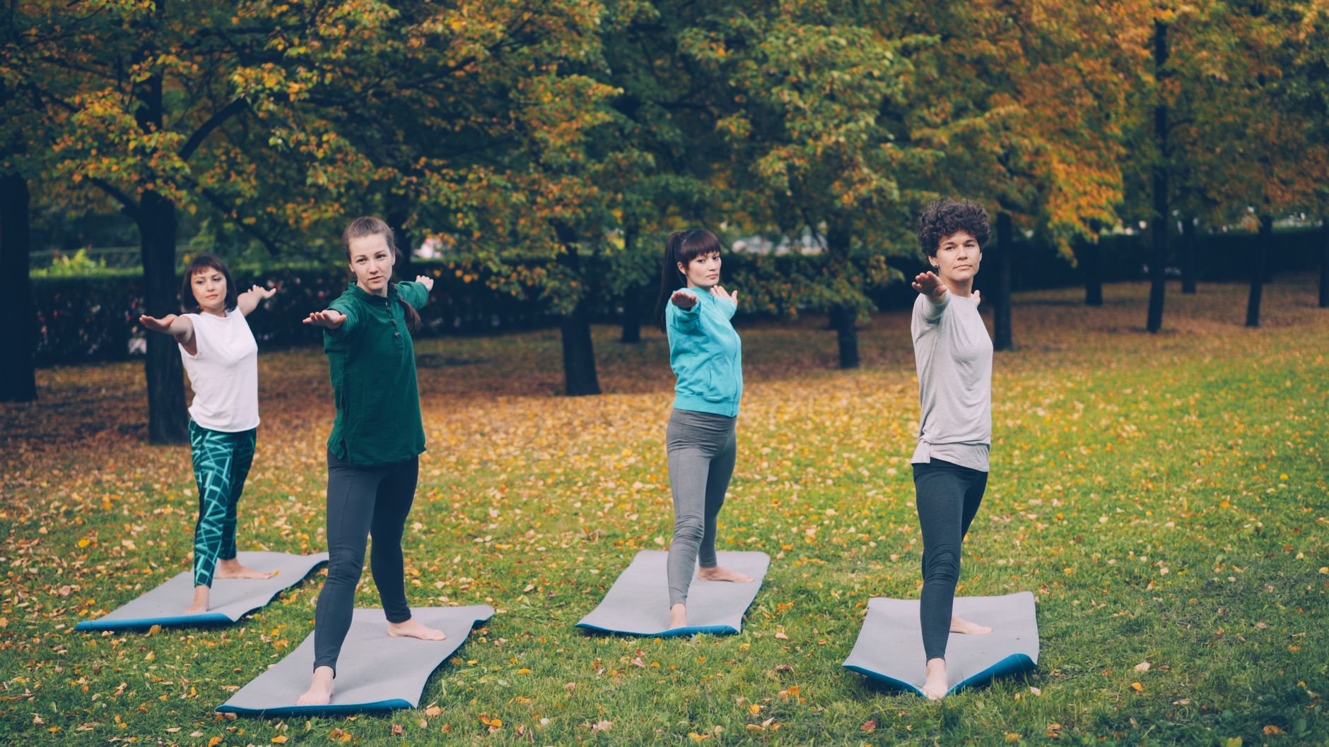 Comparatif programmes endurance pour adulte actif