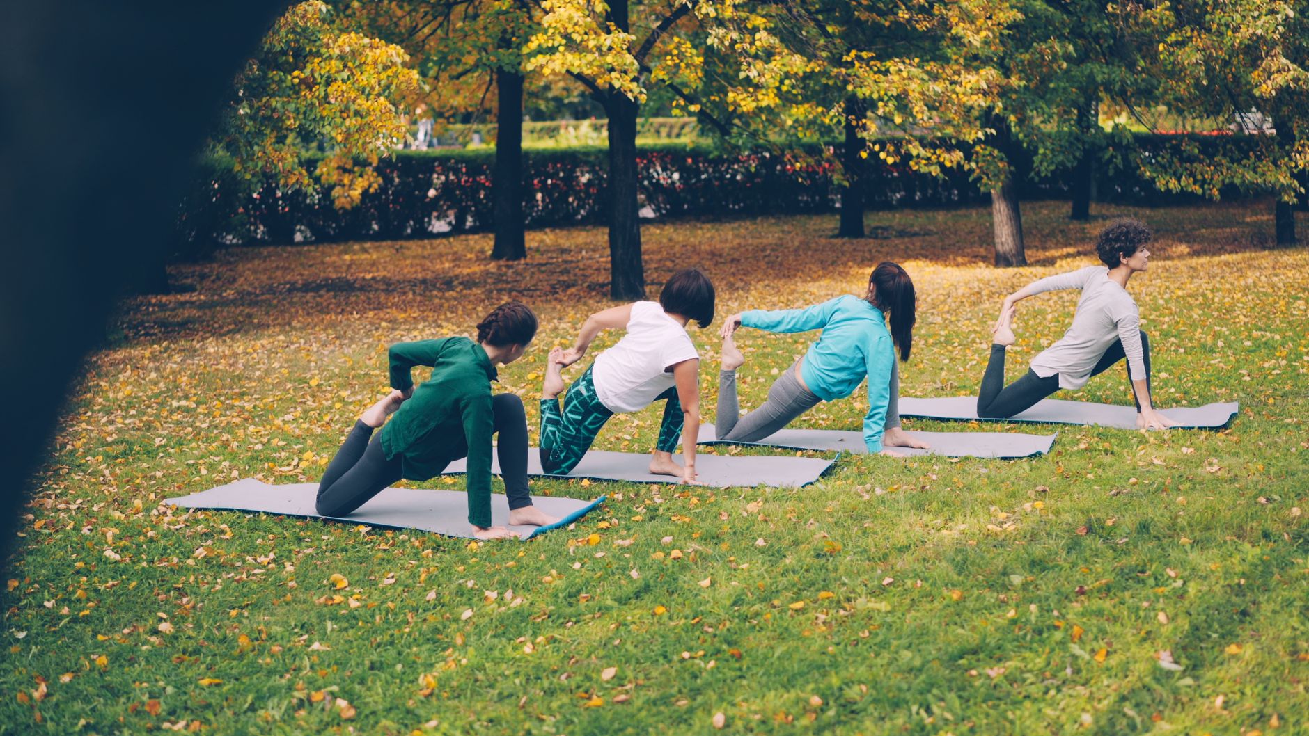 Remise en forme : endurance, renforcement et mobilité
